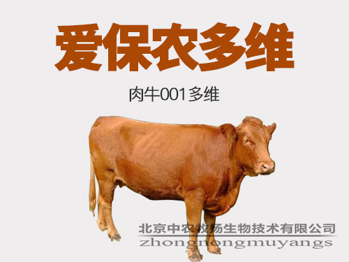 肉牛001多維