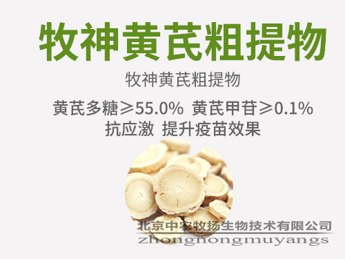 牧神黃芪粗提物