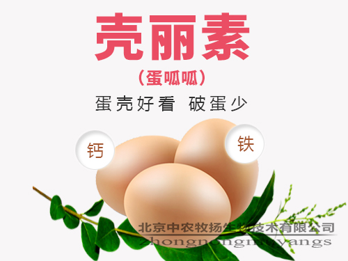 殼麗素（蛋呱呱）