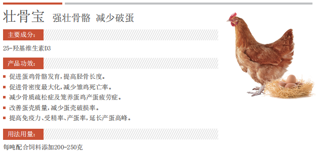 QQ截圖20241217135221