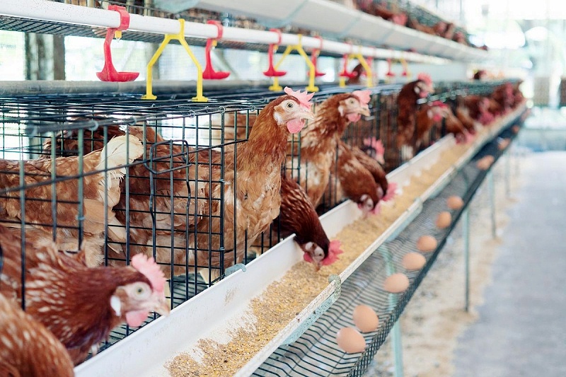 8aa3c445-b391-417d-9633-0386243f93fc_副本