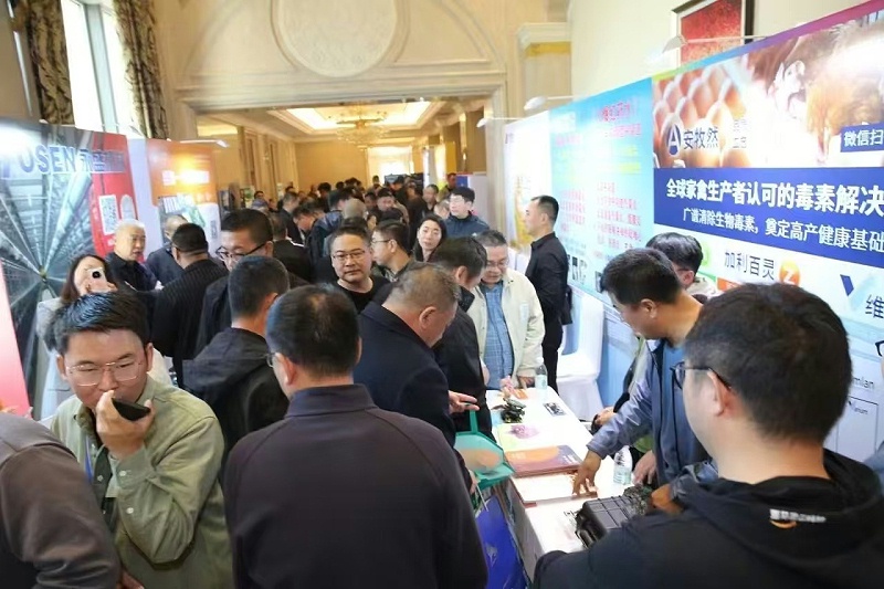 微信圖片_20241028092437