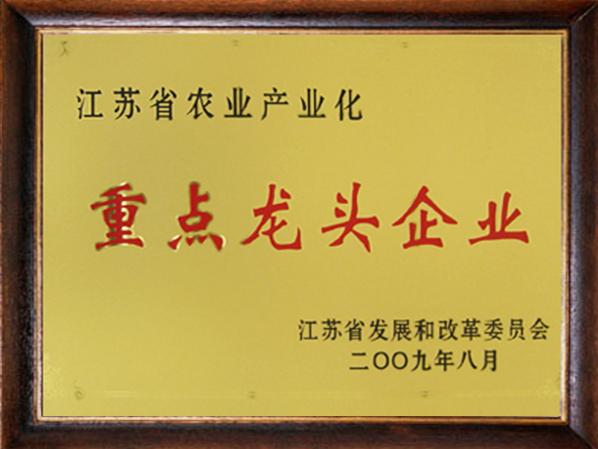 龍頭企業(yè)