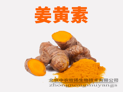 姜黃素 姜黃提取物