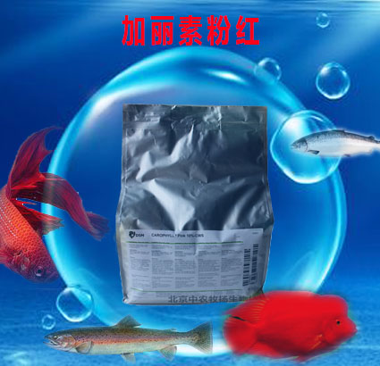 加麗素粉紅內頁