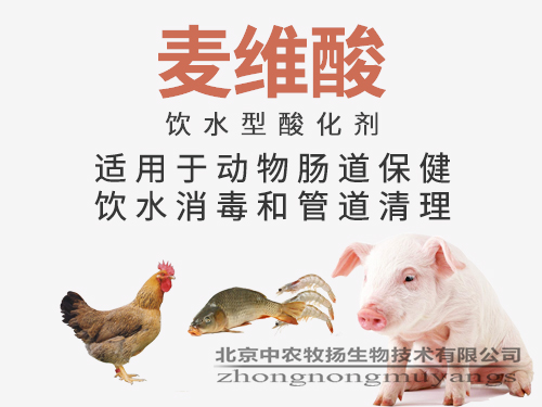 麥維酸 飲水型酸化劑