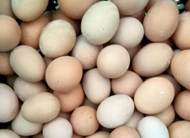 蛋殼顏色發(fā)白怎么辦？蛋殼紅，解決蛋殼著色難題