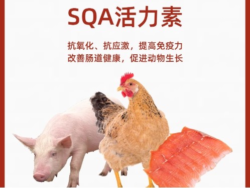 活力素殼糖胺螯合稀土