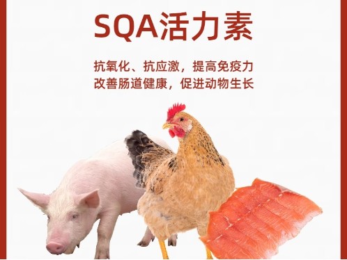 活力素殼糖胺螯合稀土