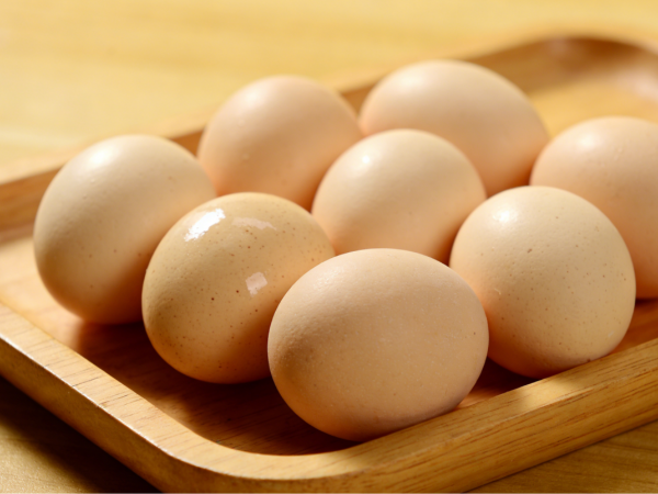 蛋殼顏色變淺怎么辦？蛋殼紅，養(yǎng)雞人調(diào)節(jié)蛋殼顏色新方案