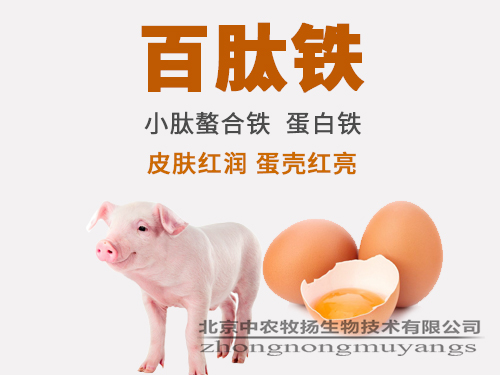 百肽鐵  小肽鐵