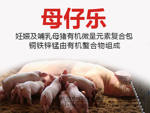 母仔樂 妊娠期哺乳母豬有機(jī)微量元素復(fù)合包