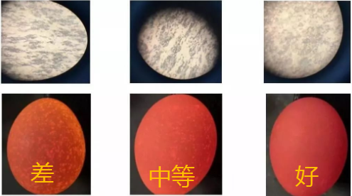 蛋殼分級(jí)標(biāo)準(zhǔn)