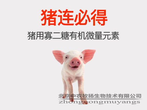 豬連必得 豬用寡二糖有機(jī)微量元素