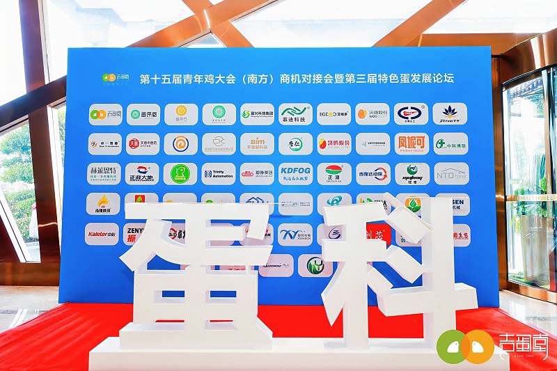 第15年青年雞大會(huì)